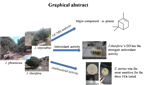 Chemical Composition of Essential Oils Extracted from J. phoenicea