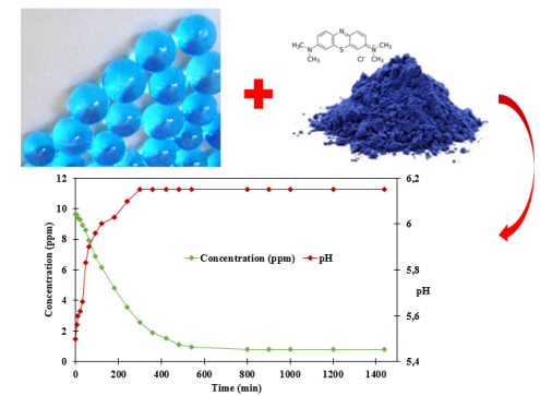 Removing Methylene Blue Dye from Water Using Seaweed