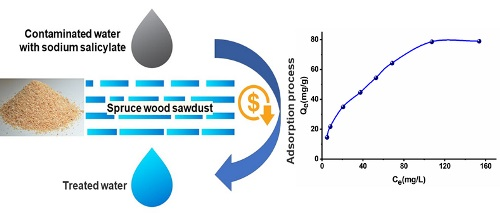 Graphical Abstract