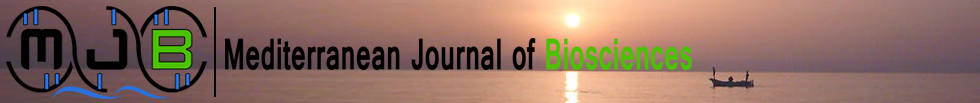Page Header